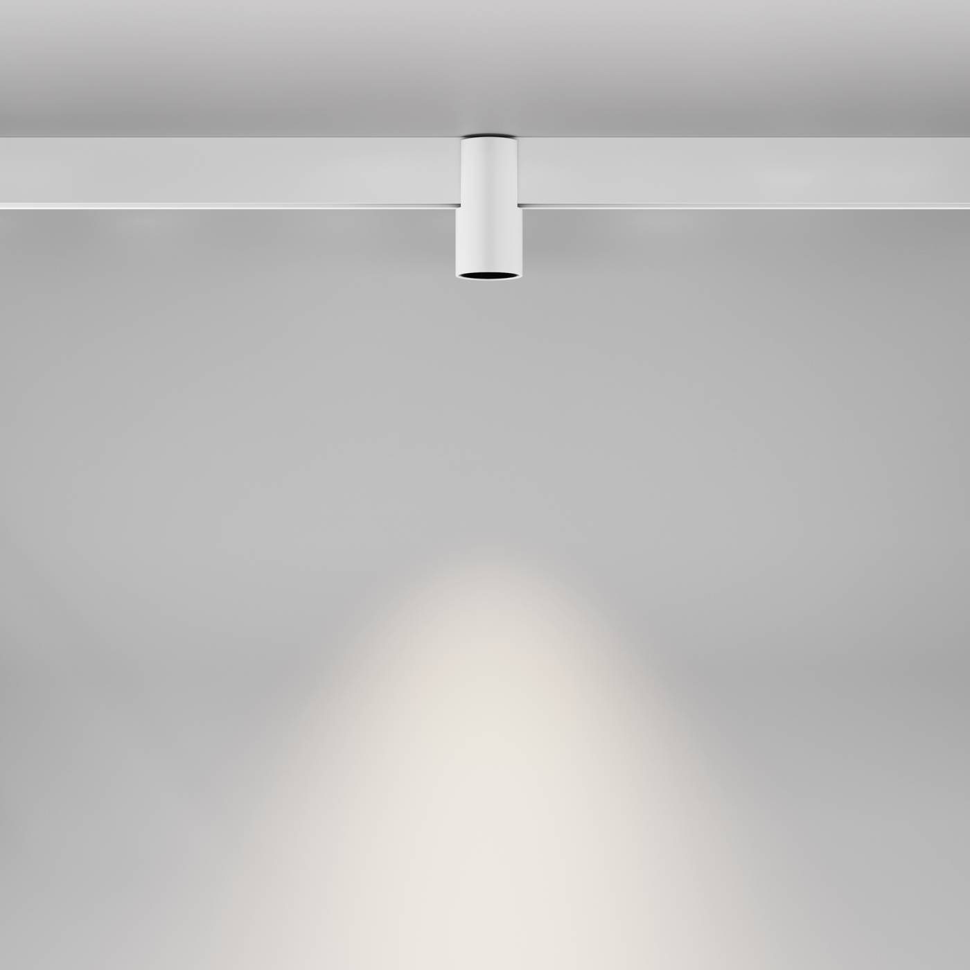 TR122-2-7W4K-W Трековый светильник Maytoni Alfa TR122-2-7W4K-W