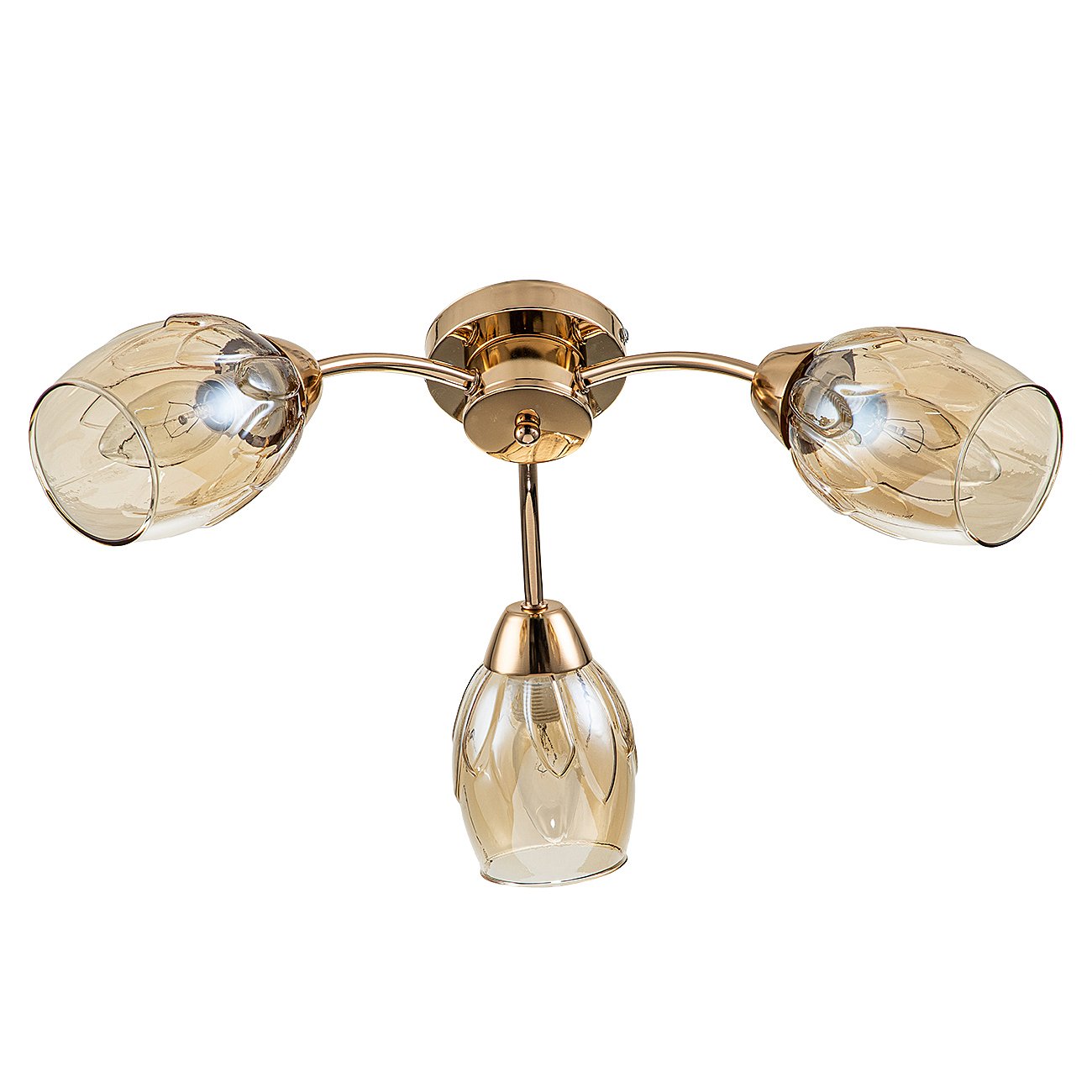 Потолочная люстра Escada Allium 663/3P