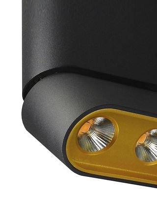 Накладной светильник Lumien Hall Фергус 8005/3CL-BK-GD