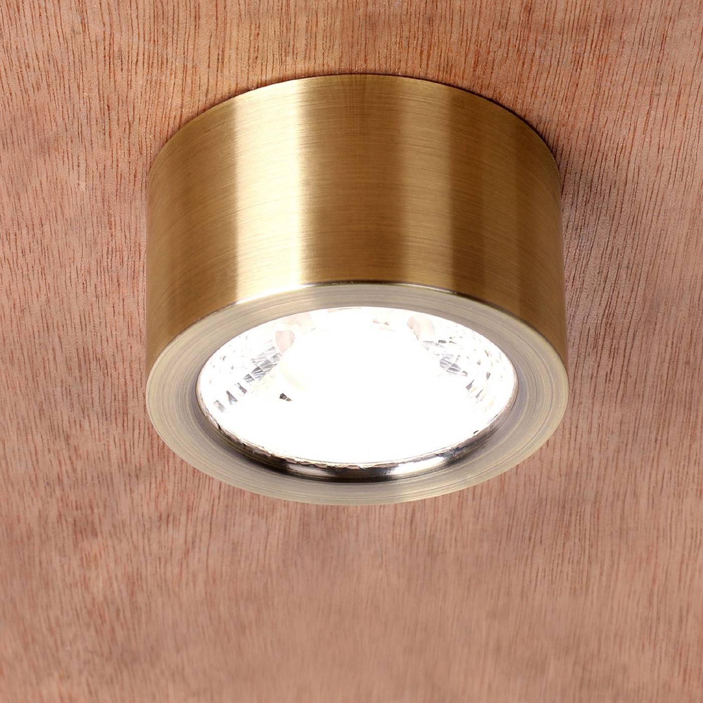 Накладной светильник Favourite Deorsum 2806-1U