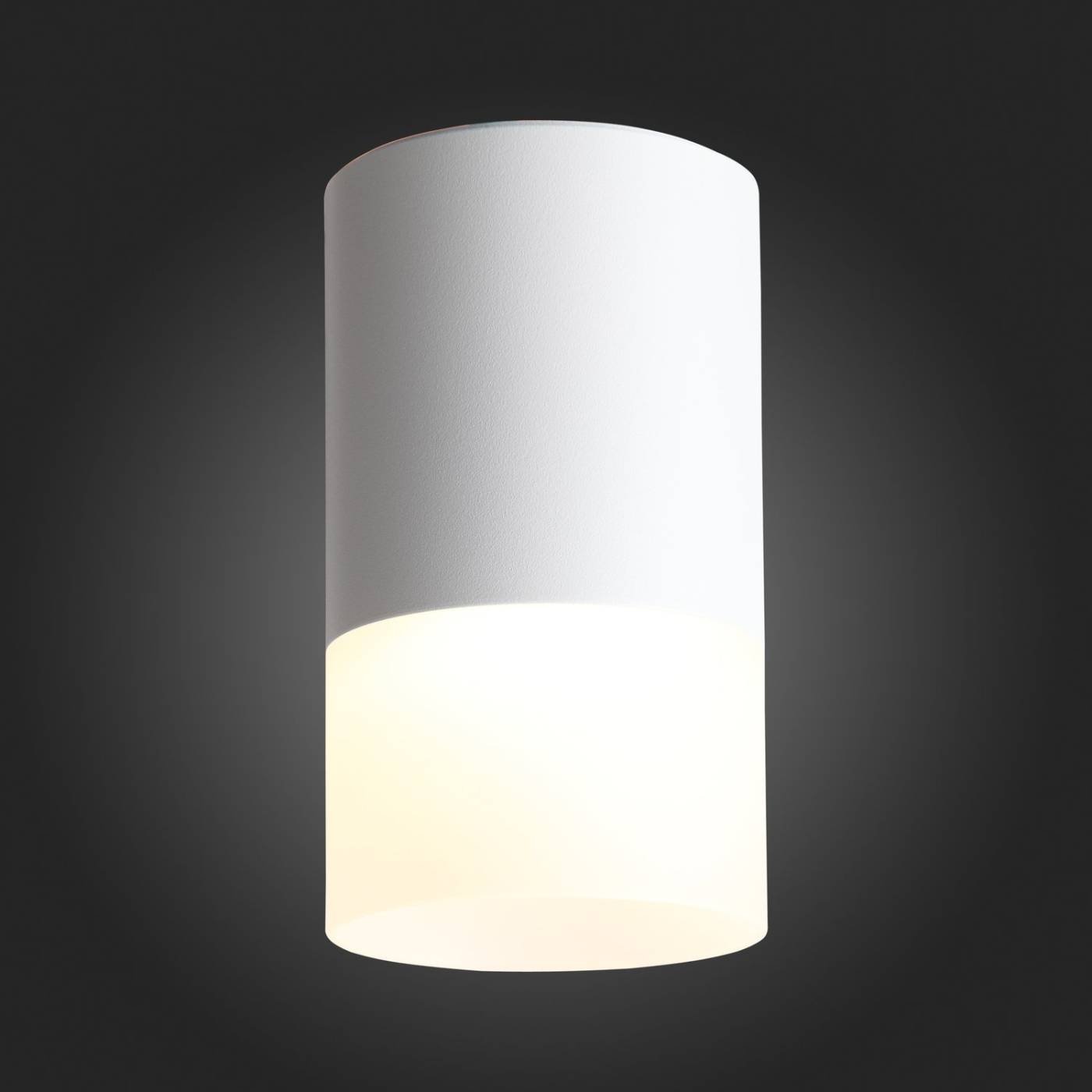 Накладной светильник ST Luce Ottu ST100.502.05