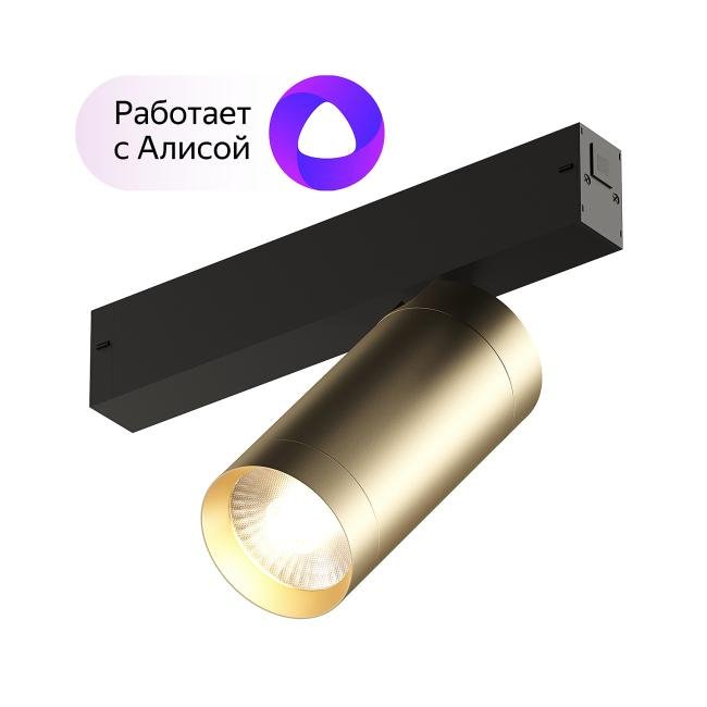DK8020-BG Трековый светильник Denkirs Smart Spot DK8020-BG