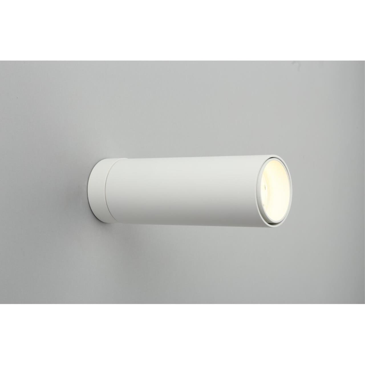 OML-101409-12 Накладной светильник Omnilux Montella OML-101409-12