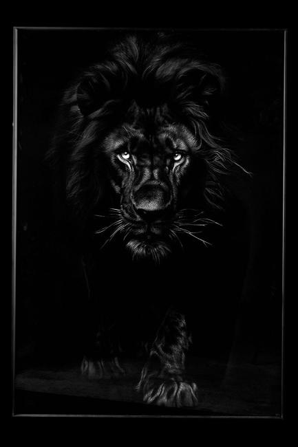 Картина настенная Teona Decor Lion TD168