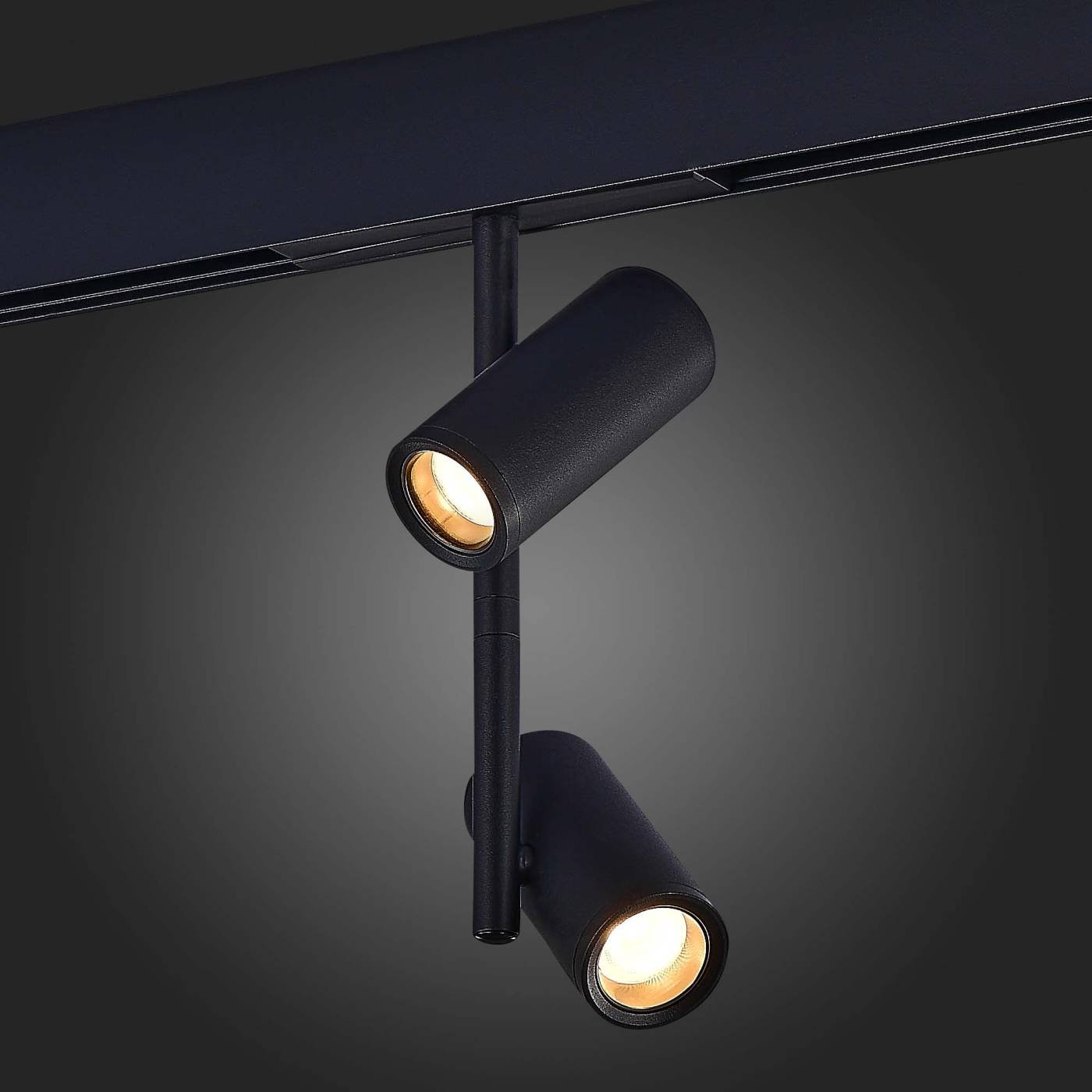 Трековый светильник ST Luce Functional ST808.436.16