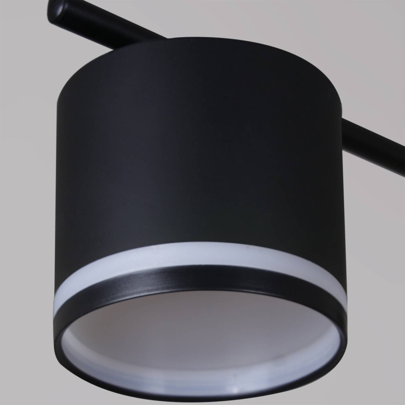 Потолочная люстра Reluce 22008-0.3-10 GX53