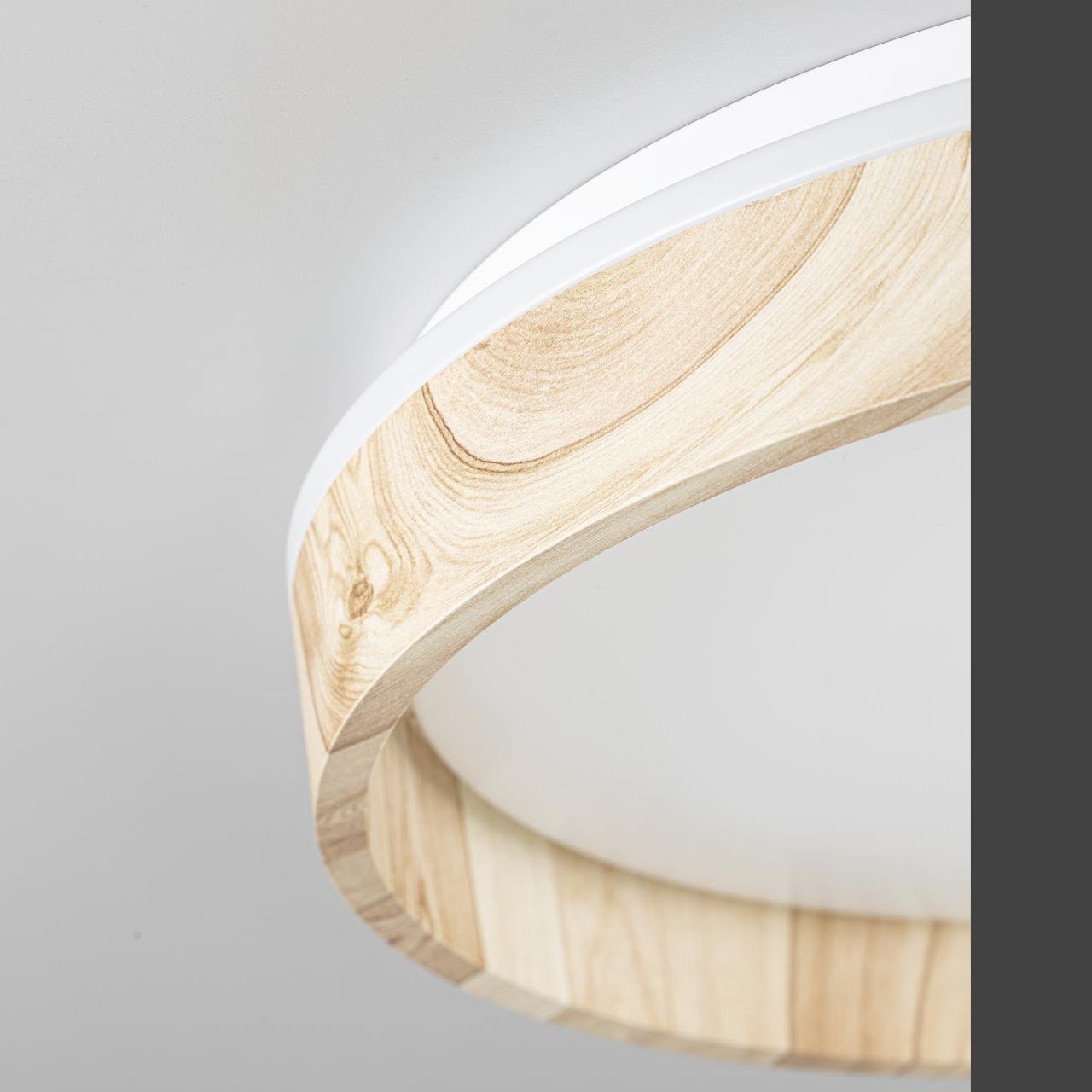 CL753352G Светильник потолочный Citilux Enzo CL753352G