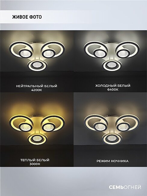 SF7096/3C-WT Потолочная люстра Seven Fires Leida SF7096/3C-WT