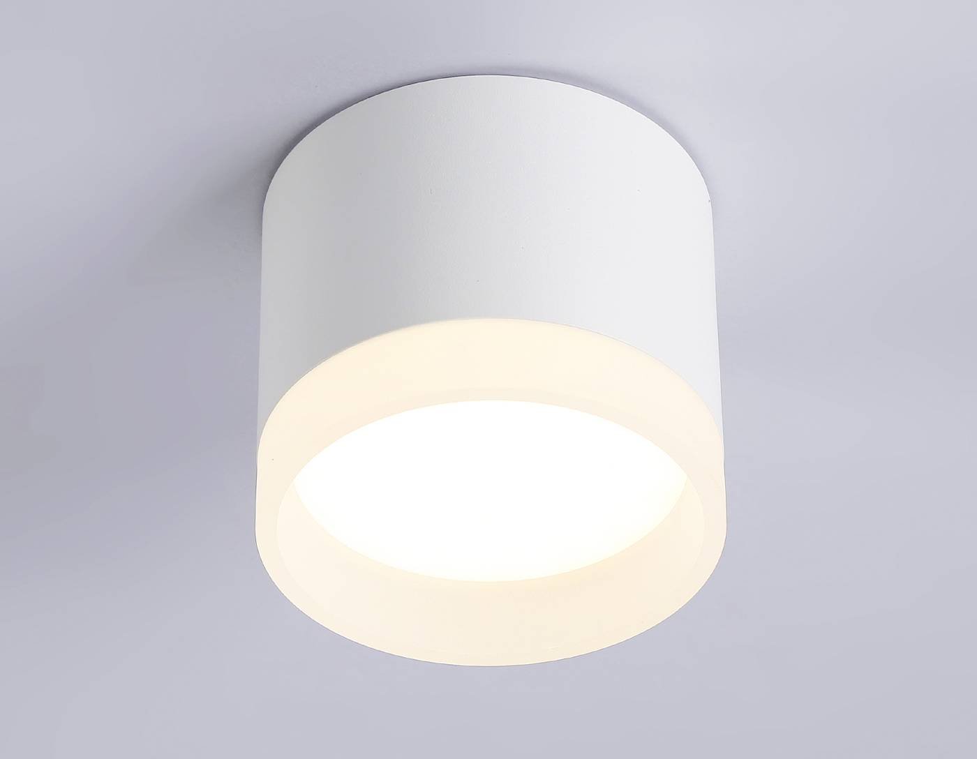 Накладной светильник Ambrella Acrylic Frost TN5365