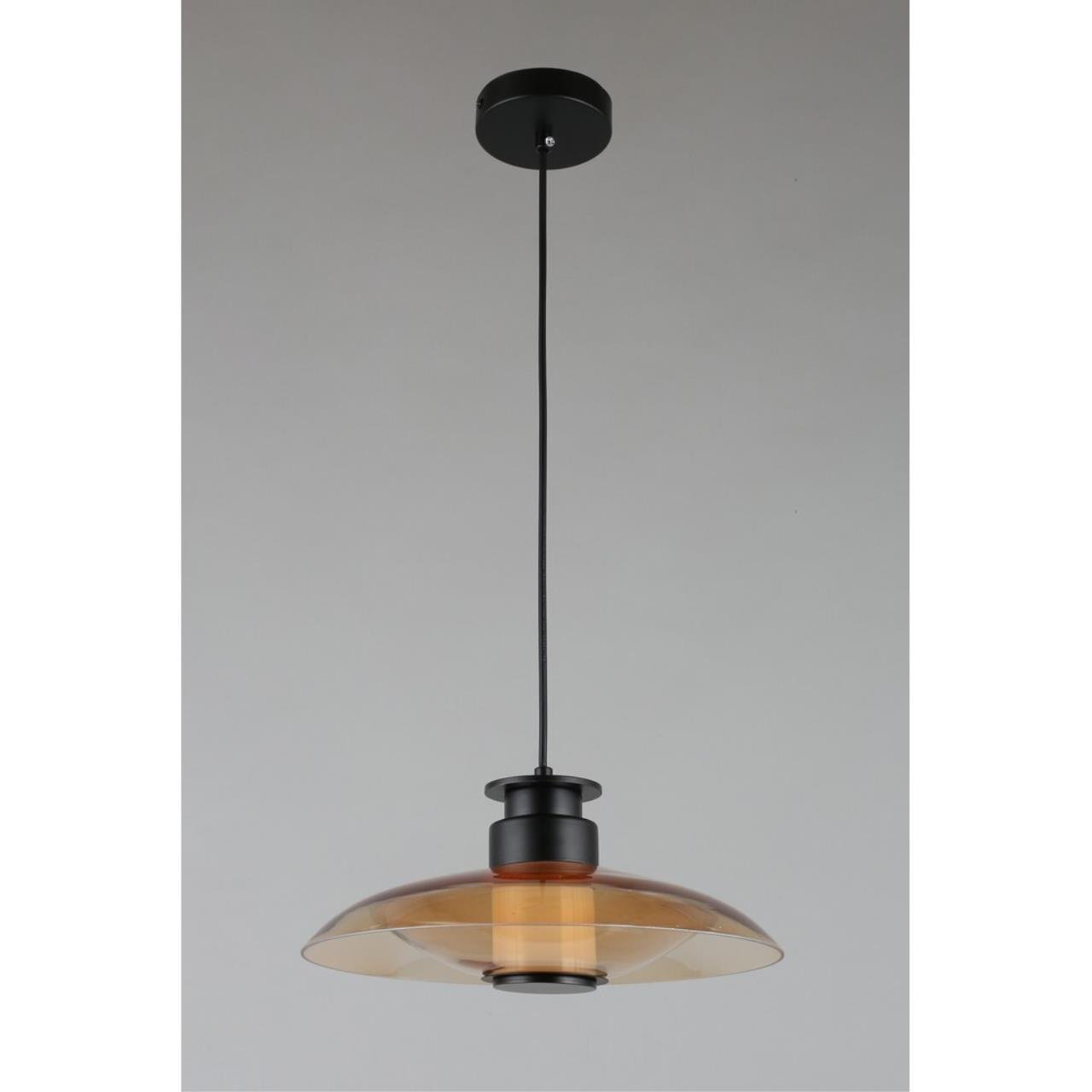 Светильник подвесной Aployt Stefa APL.648.16.10