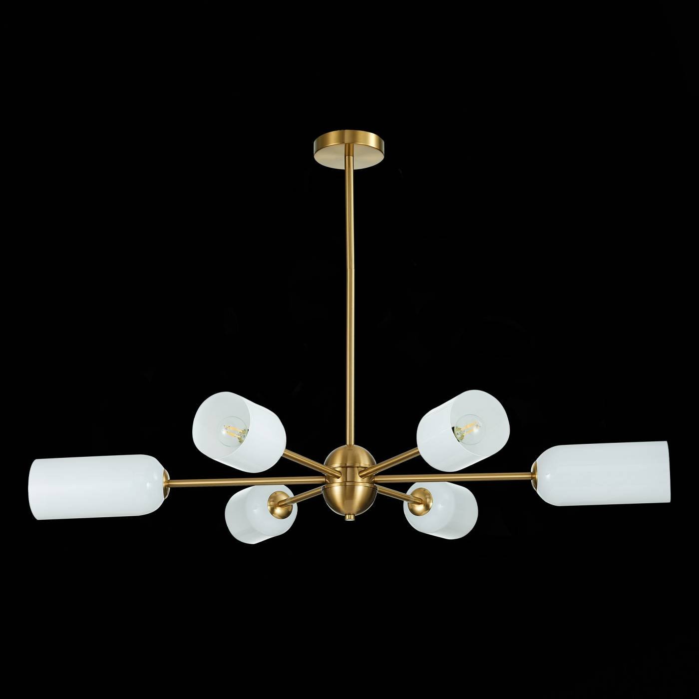 Потолочная люстра ST Luce Treviso SL1180.202.06