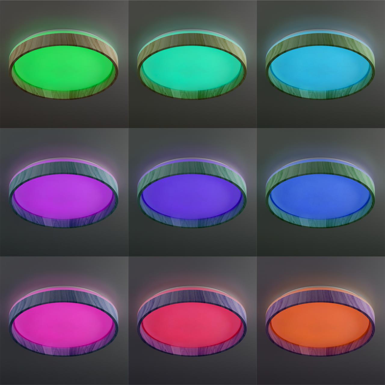 CL753352G Светильник потолочный Citilux Enzo CL753352G