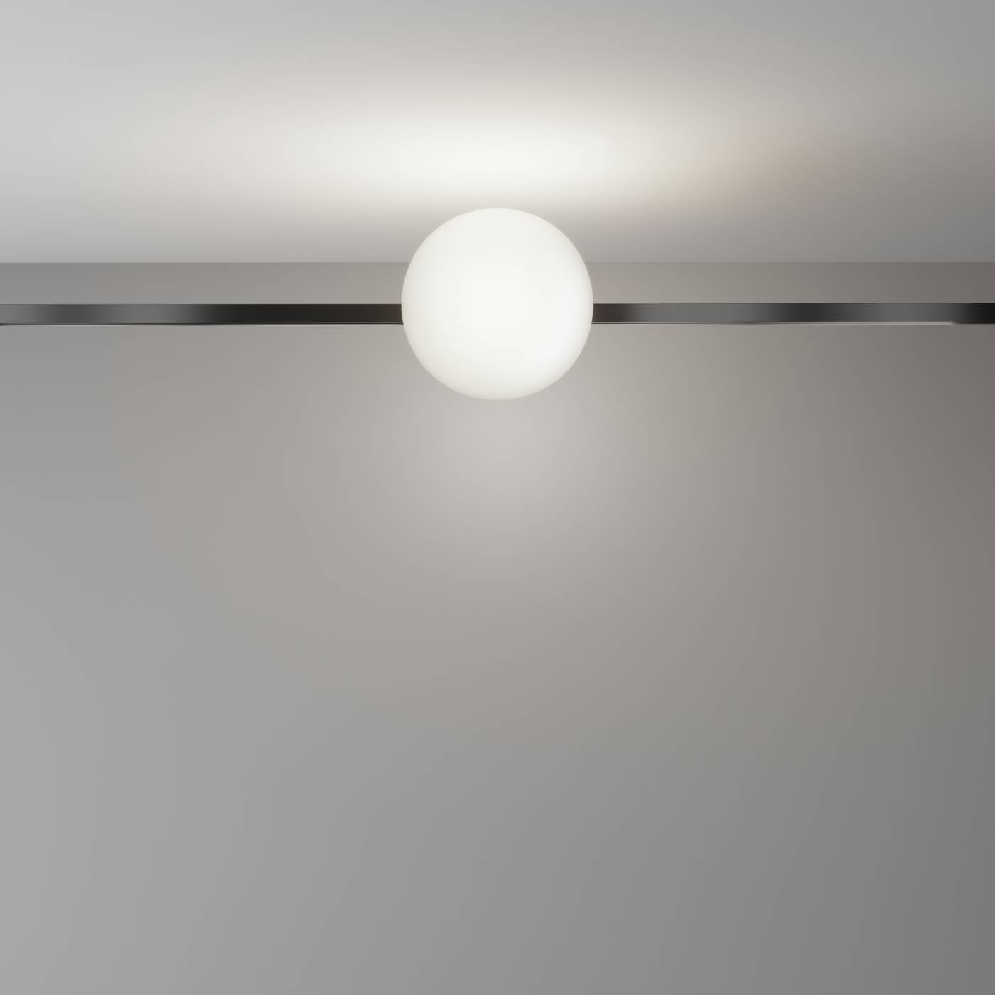 TR229-1-8W4K-B Трековый светильник Luna Maytoni TR229-1-8W4K-B