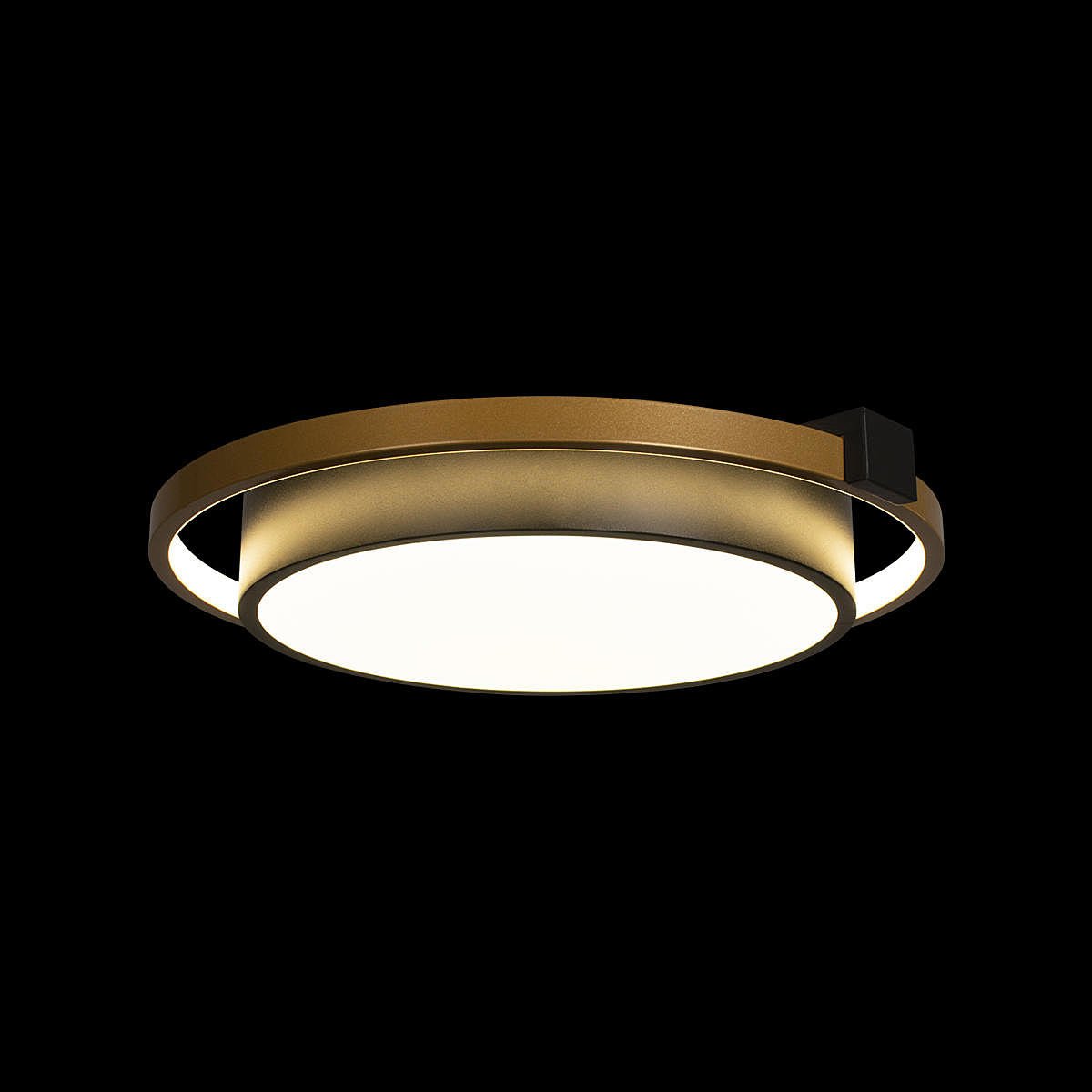 Потолочная люстра Loft It Mike 10169