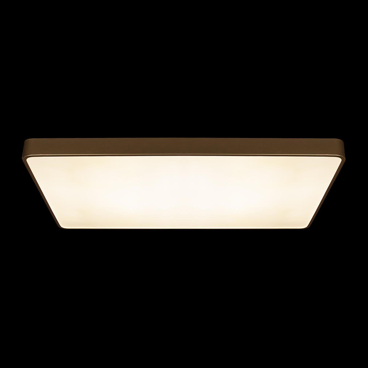 10228/E Светильник потолочный Loft It Flims 10228/E