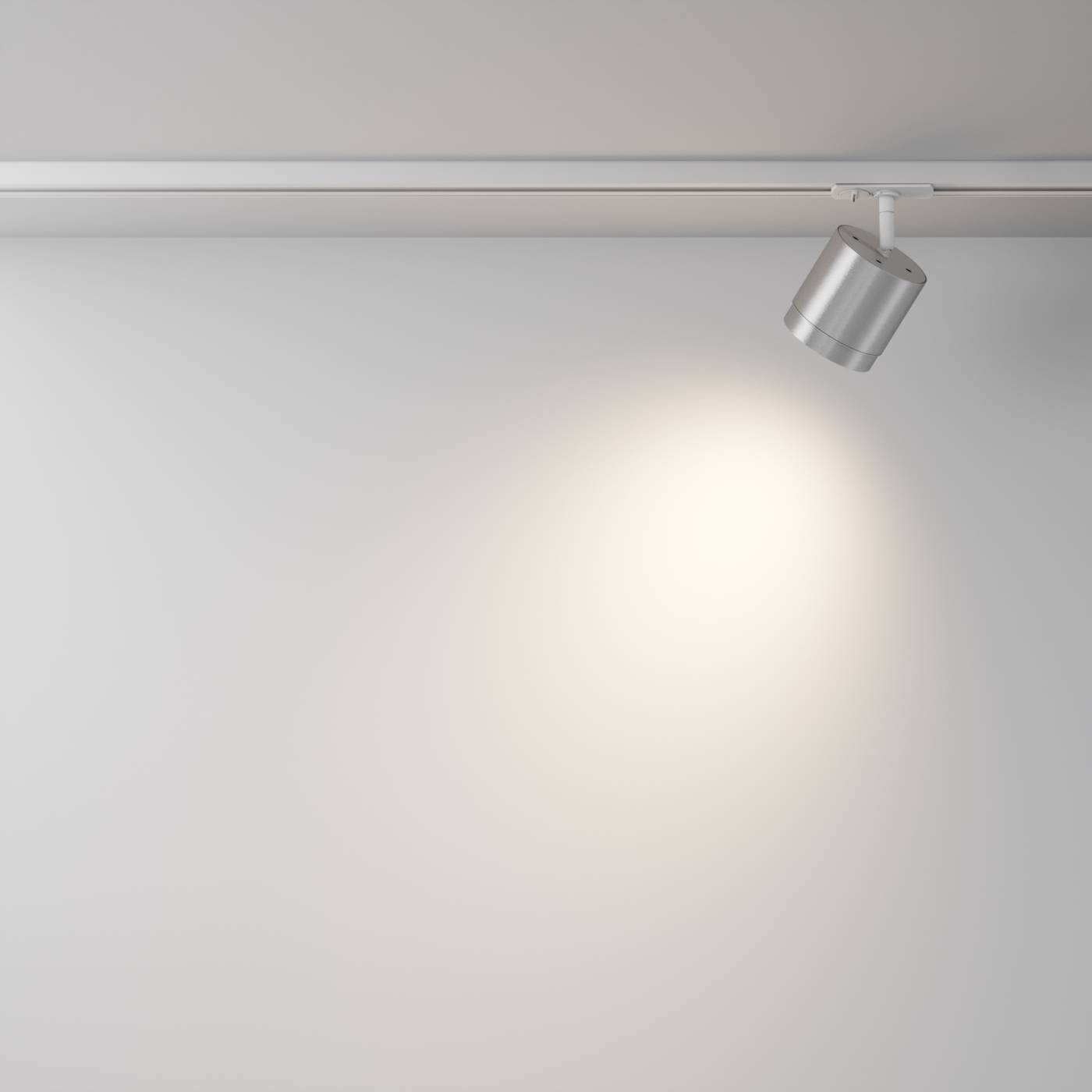 Трековый светильник Maytoni Single phase track system Unity TR088-1-GX53-S
