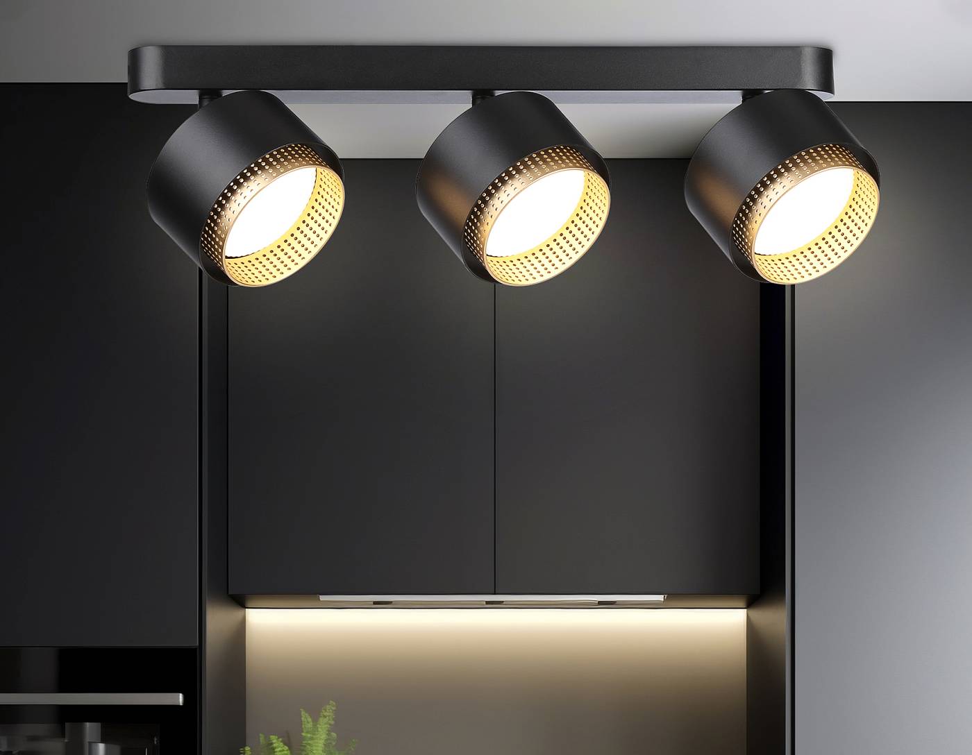 Светильник спот Ambrella Techno family TN71295