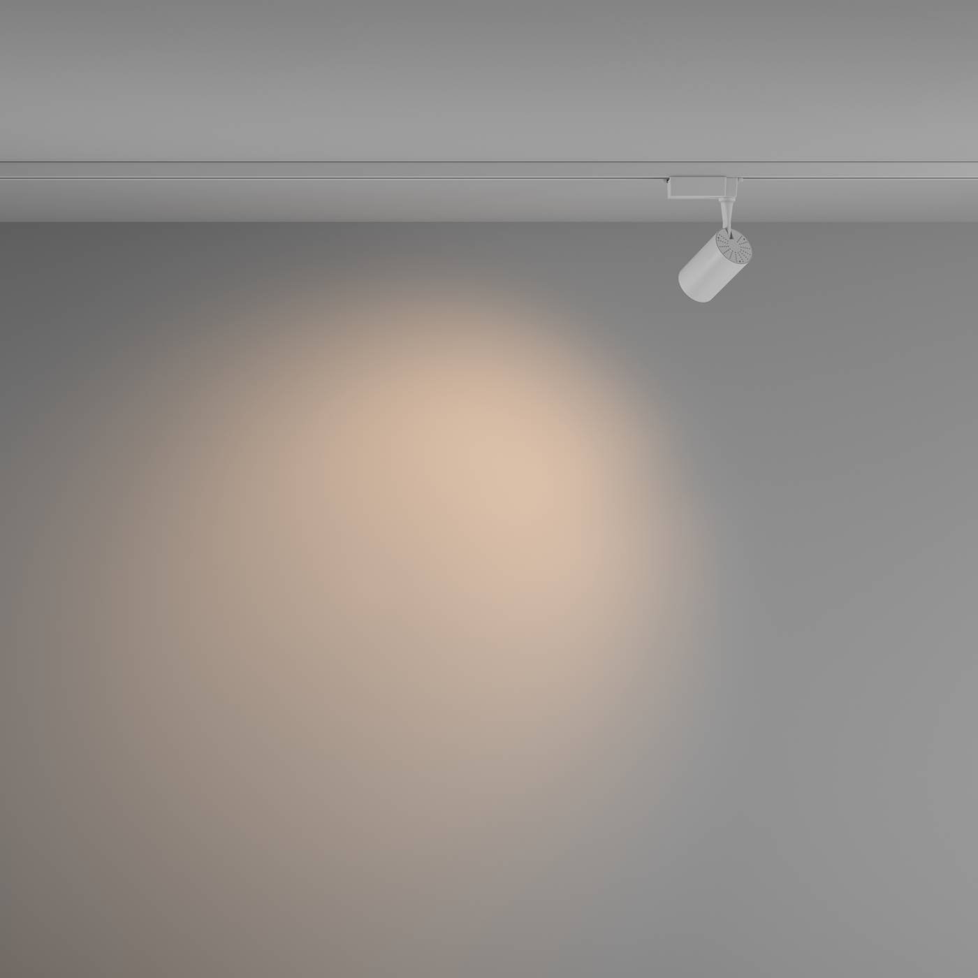 TR003-1-6W3K-W-W Трековый светильник Maytoni Vuoro Unity TR003-1-6W3K-W-W