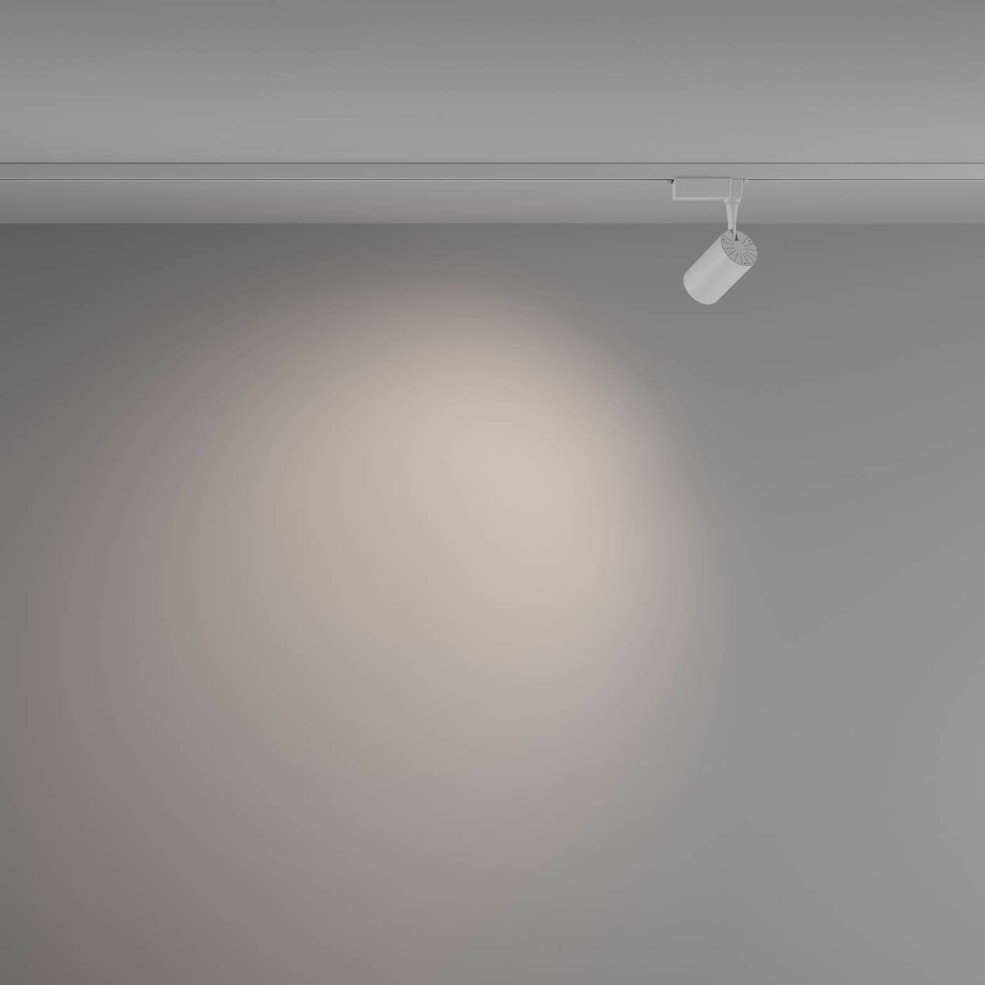 TR003-1-6W4K-W-W Трековый светильник Maytoni Vuoro Unity TR003-1-6W4K-W-W