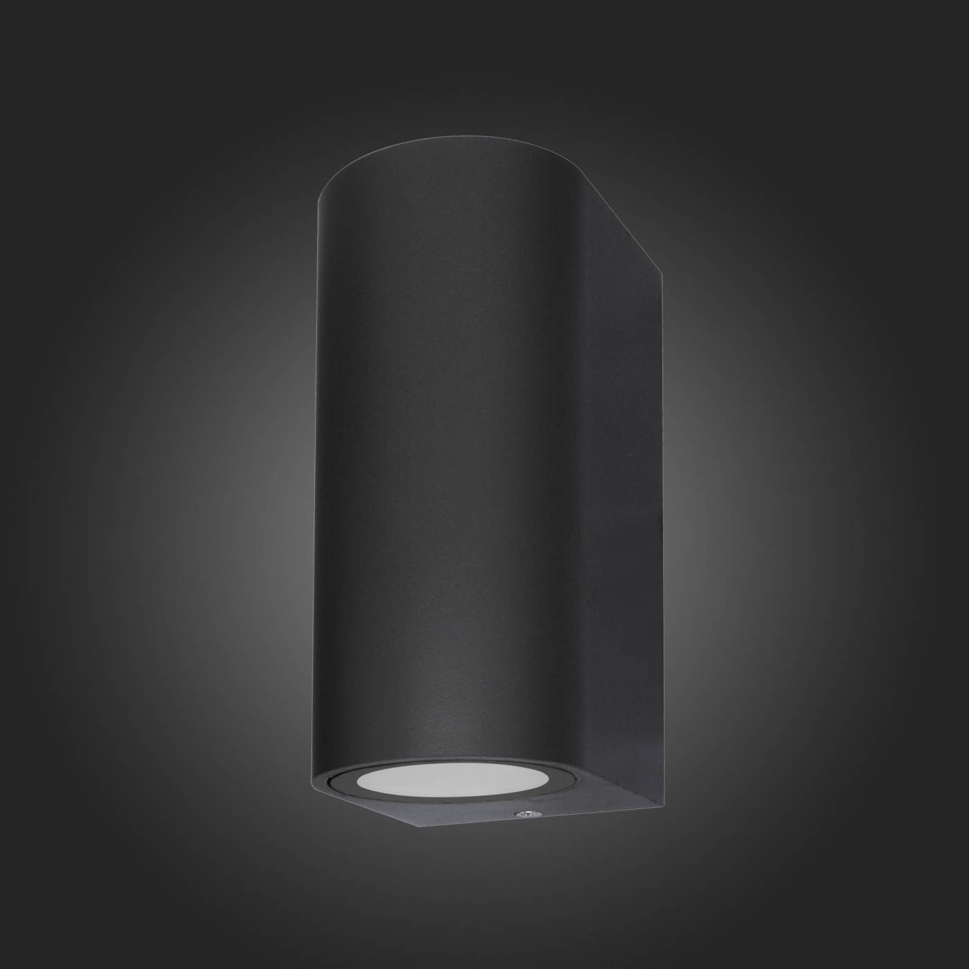 Уличный настенный светильник ST Luce Borgo SL9001.401.02
