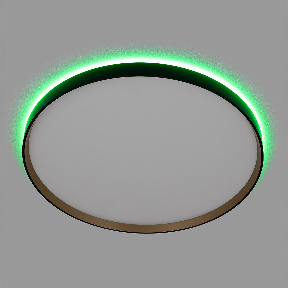 Светильник потолочный Citilux Etalon CL750501R