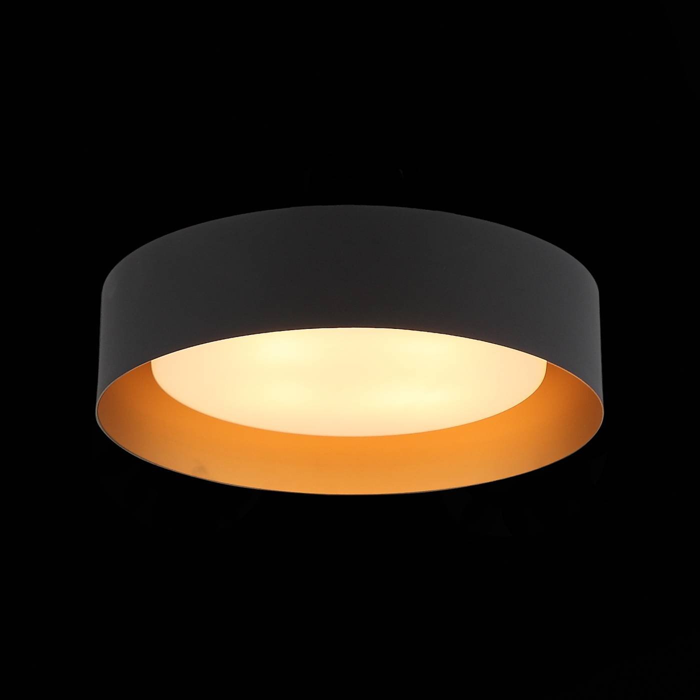 SL392.422.04 Светильник потолочный ST Luce Chio SL392.422.04