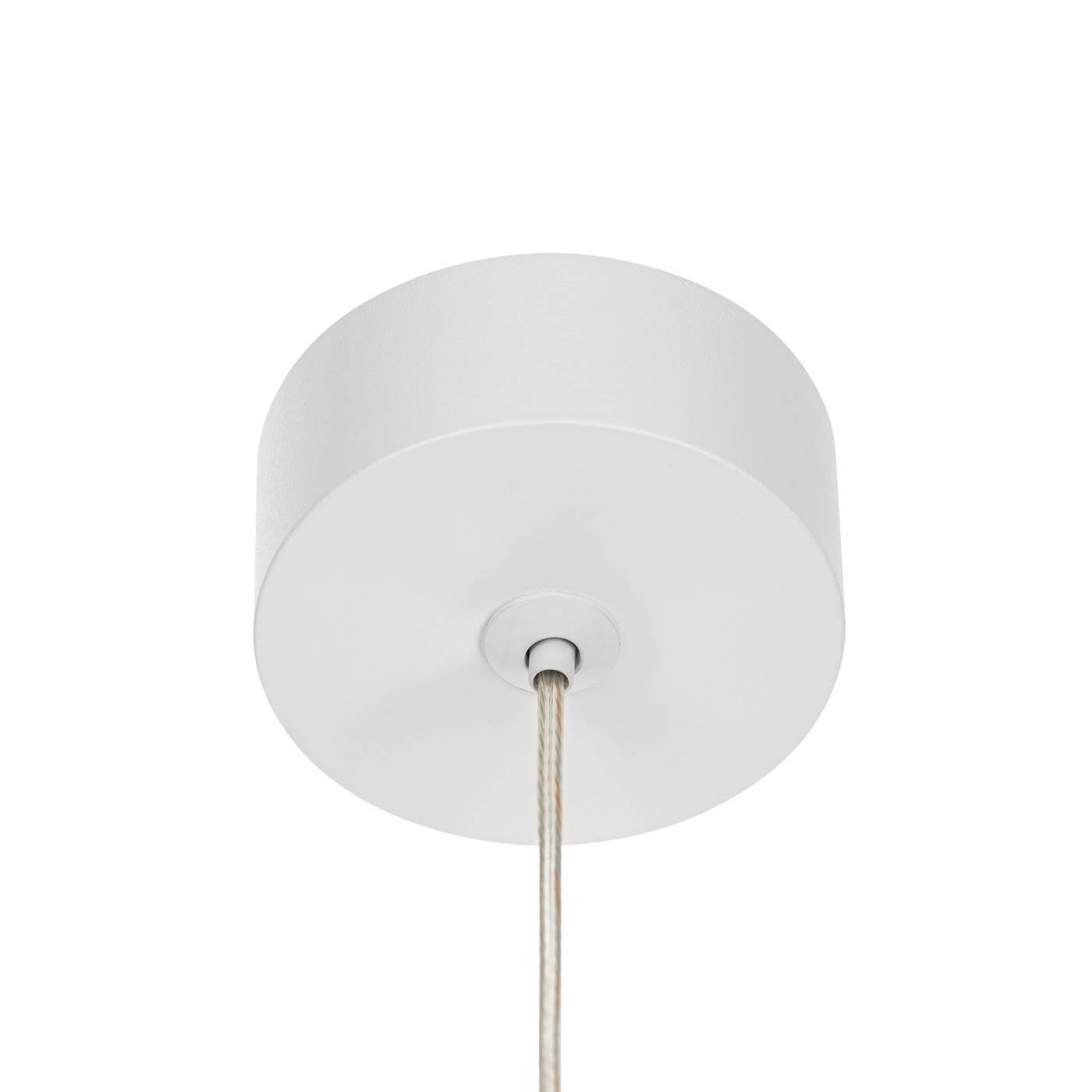 CL565010 Светильник подвесной Citilux Bruno CL565010