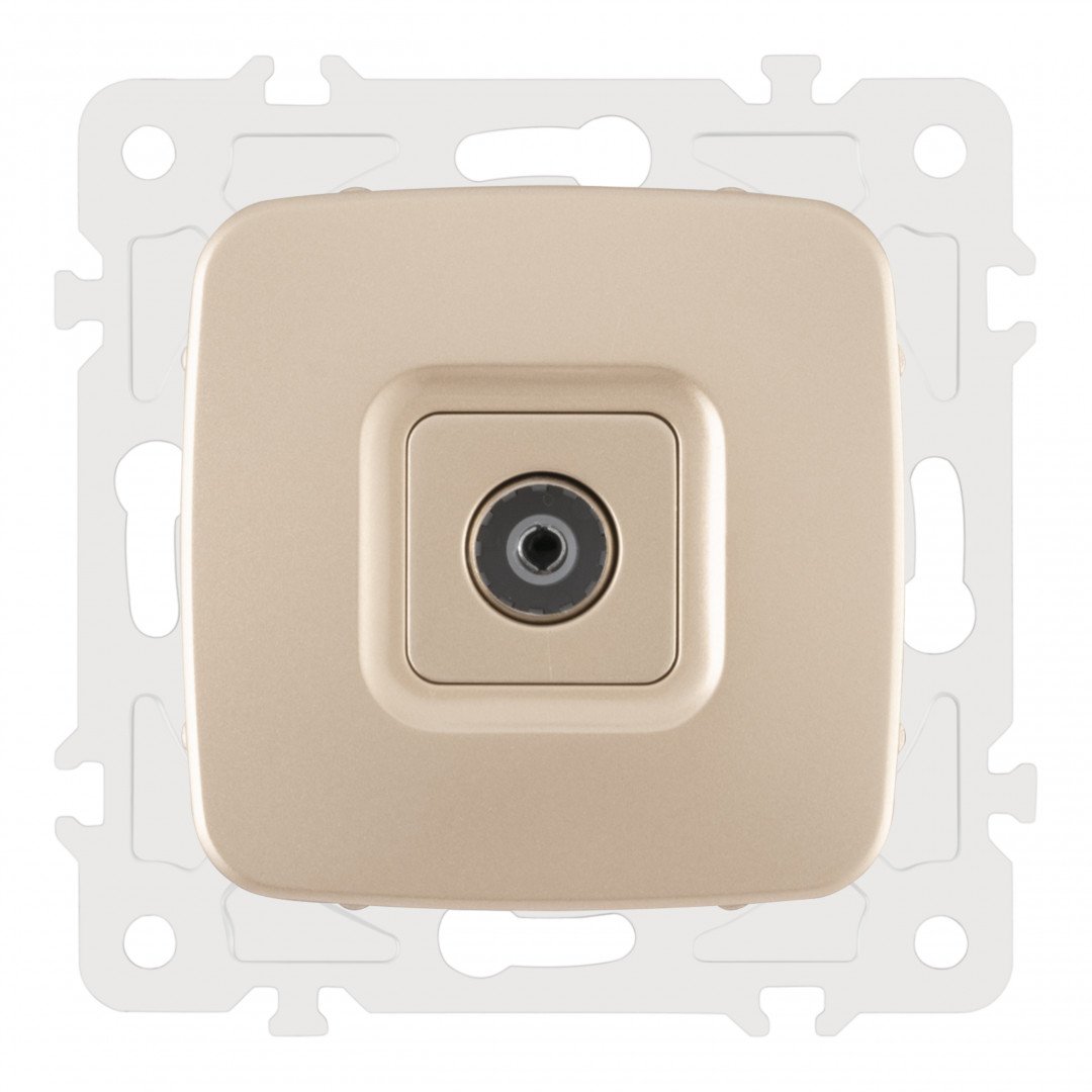 Розетка Arte Milano Am-205 205.43-1.shampan