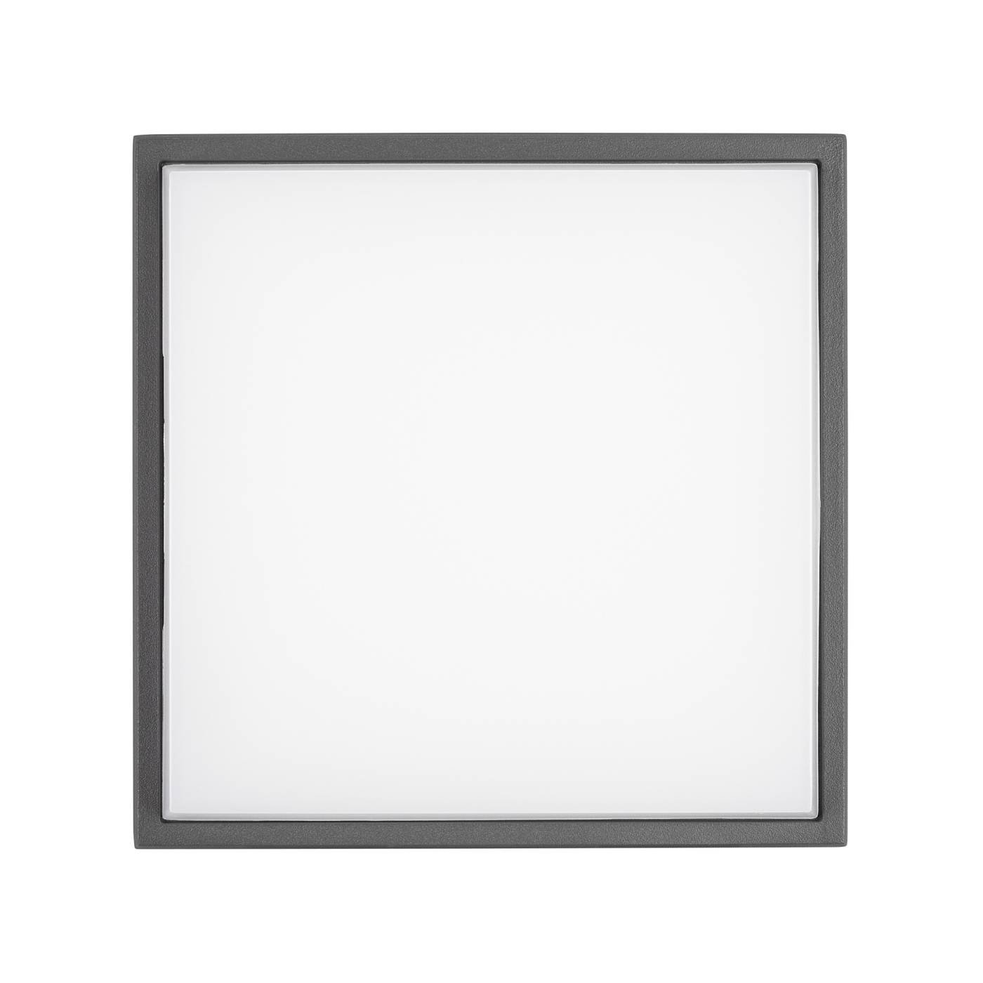 029951 Уличный потолочный светильник Arlight 029951