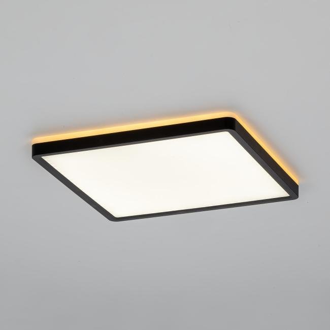 CL748K301 Светильник потолочный Citilux Norma CL748K301