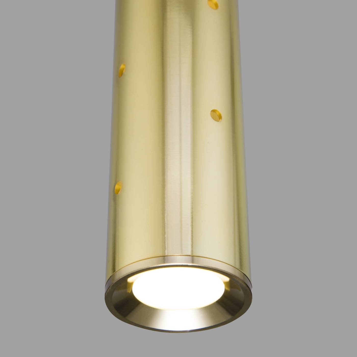 Светильник подвесной Elektrostandard Bong 50214/1 LED золото