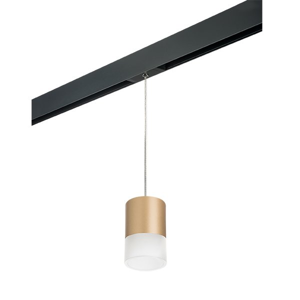 PRORP349081 Трековый светильник Lightstar Rullo PRORP349081