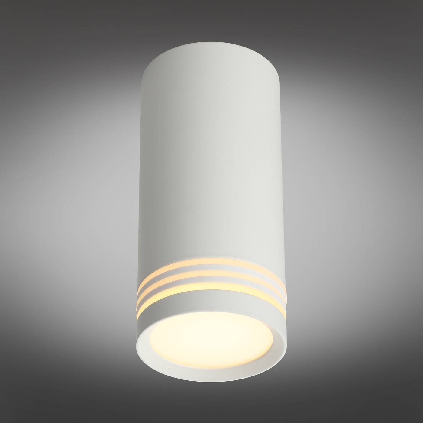 OML-100809-01 Накладной светильник Omnilux Olona OML-100809-01