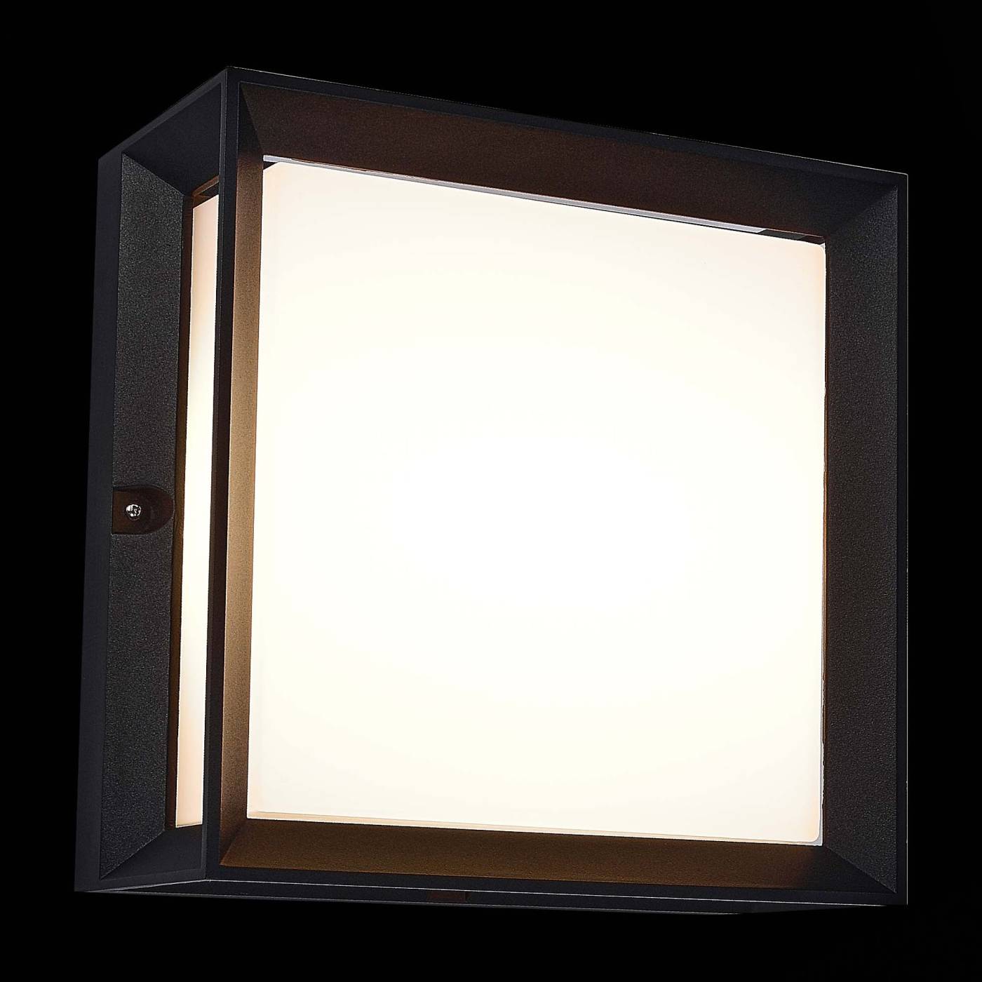SL077.402.01 Уличные потолочные ST Luce Cubista SL077.402.01
