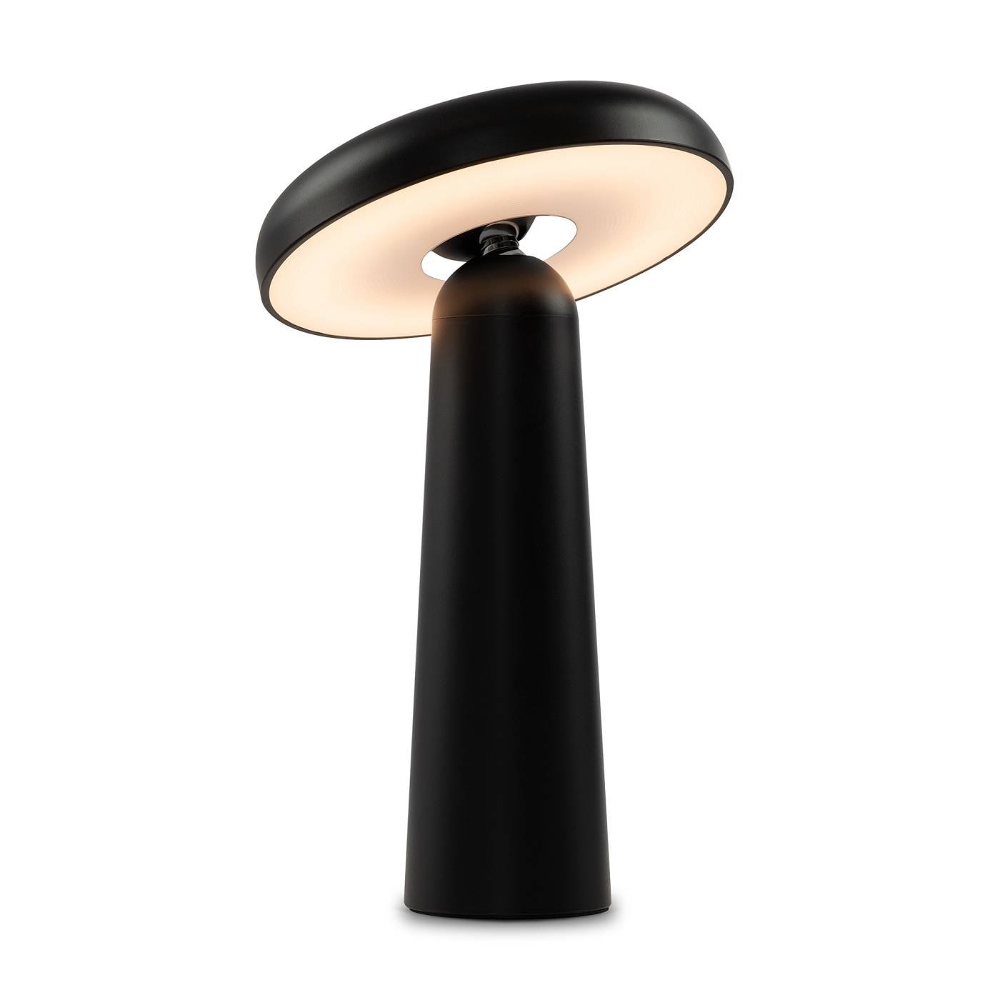 Настольная лампа Freya Mushroom FR6109TL-L4B