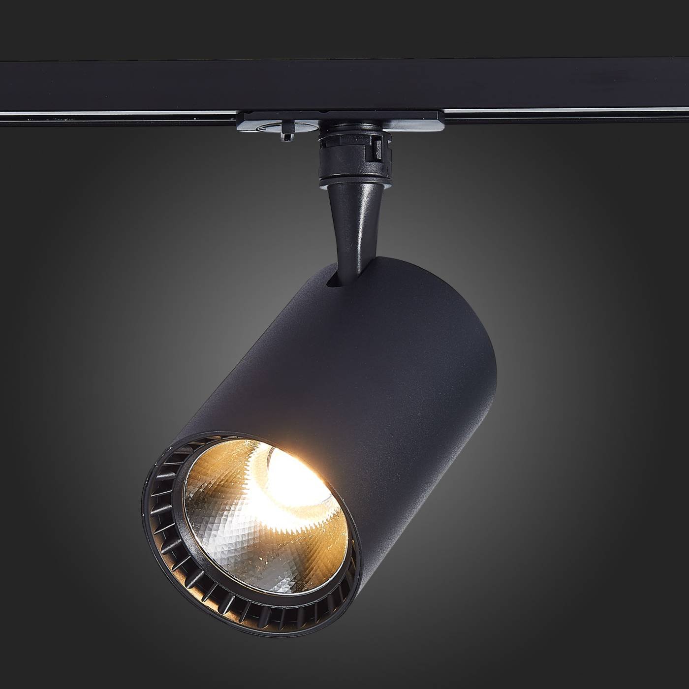 ST351.446.20.24 Трековый светильник ST Luce Cami ST351.446.20.24