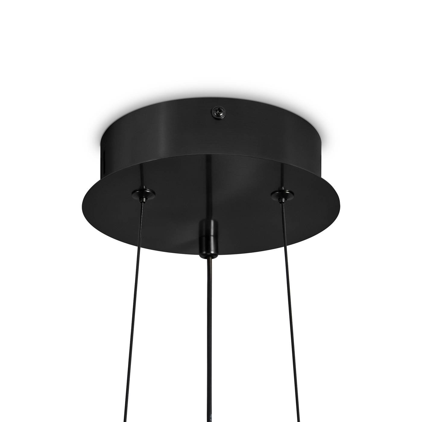 FR5398PL-L8B Светильник подвесной Freya Citrus FR5398PL-L8B