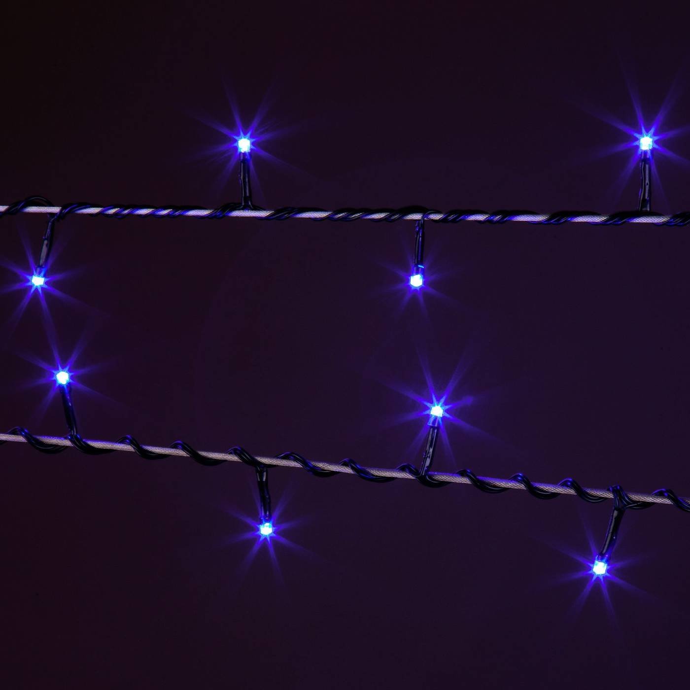 Гирлянда Eurosvet 400-002 400-002 голубой 10м IP20