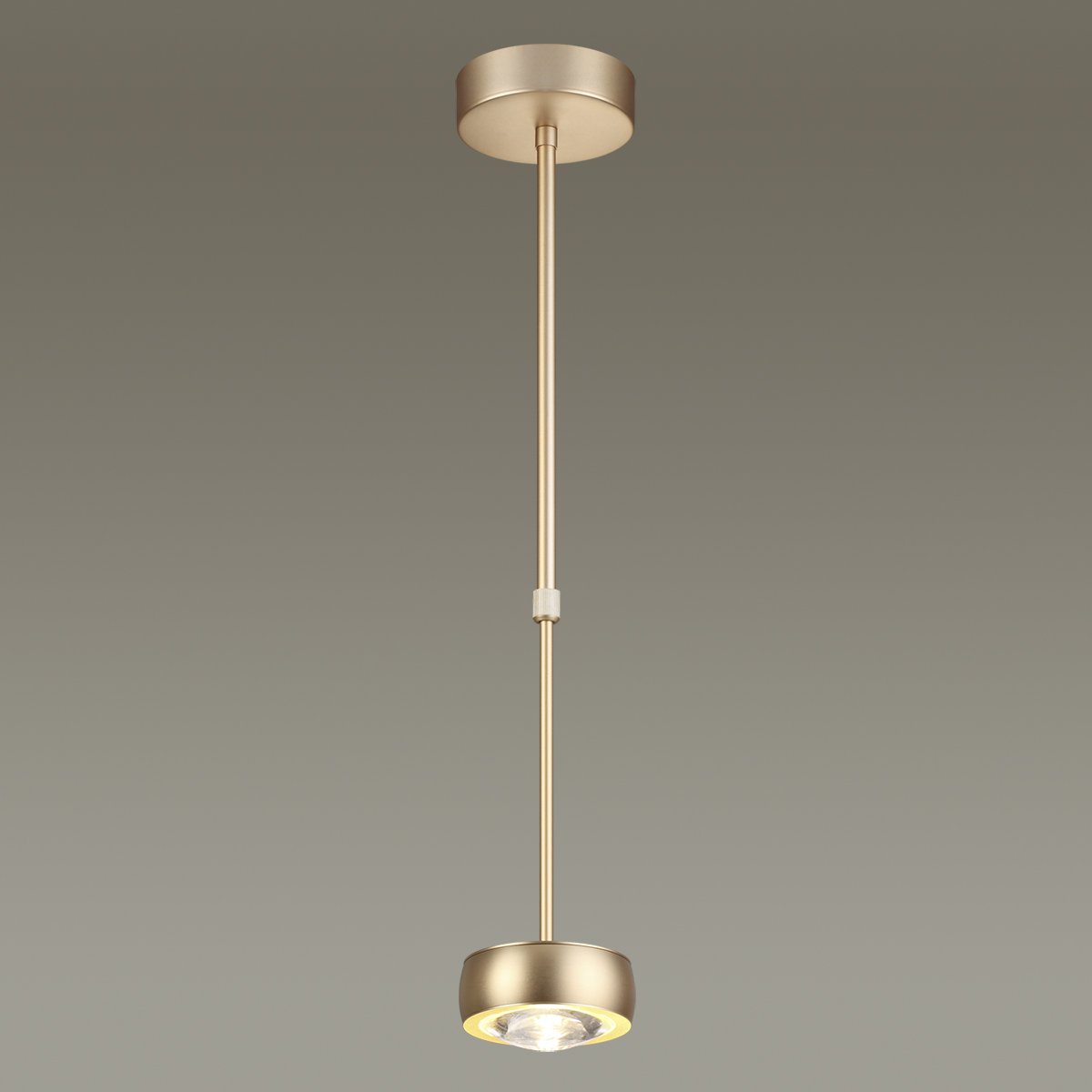 Потолочный светодиодный светильник Odeon Light Ottico 3874/10L