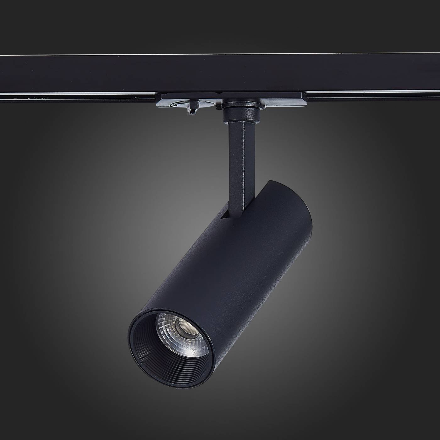 Трековый светильник ST Luce Mono ST350.436.10.24