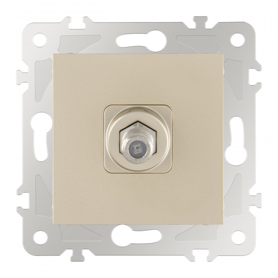 Розетка Arte Milano Am-203 203.42-1.shampan