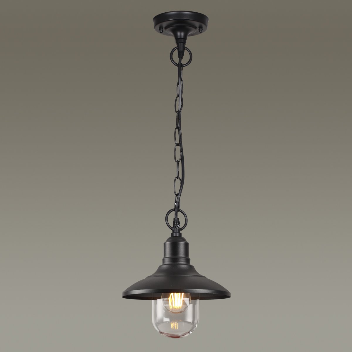 Уличный подвесной светильник Odeon Light Campa 4965/1