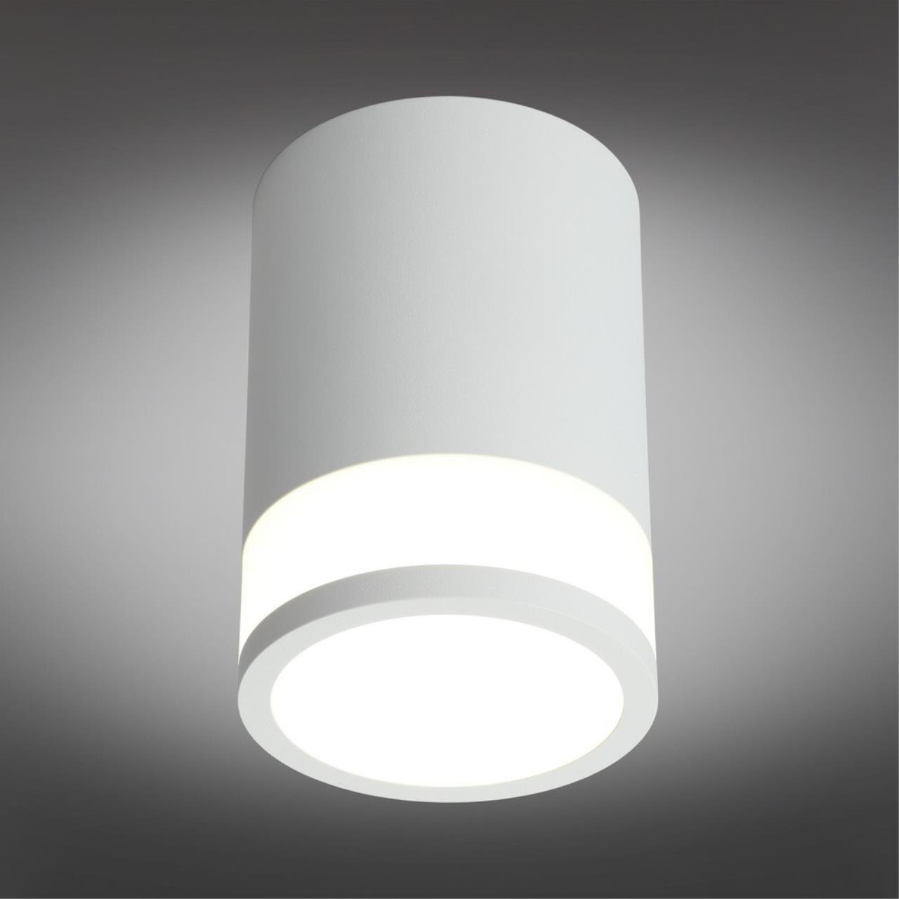 OML-101509-12 Накладной светильник Omnilux Orolli OML-101509-12