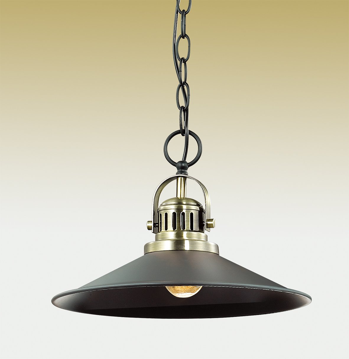 2898/1A Светильник подвесной Odeon Light LATURA 2898/1A