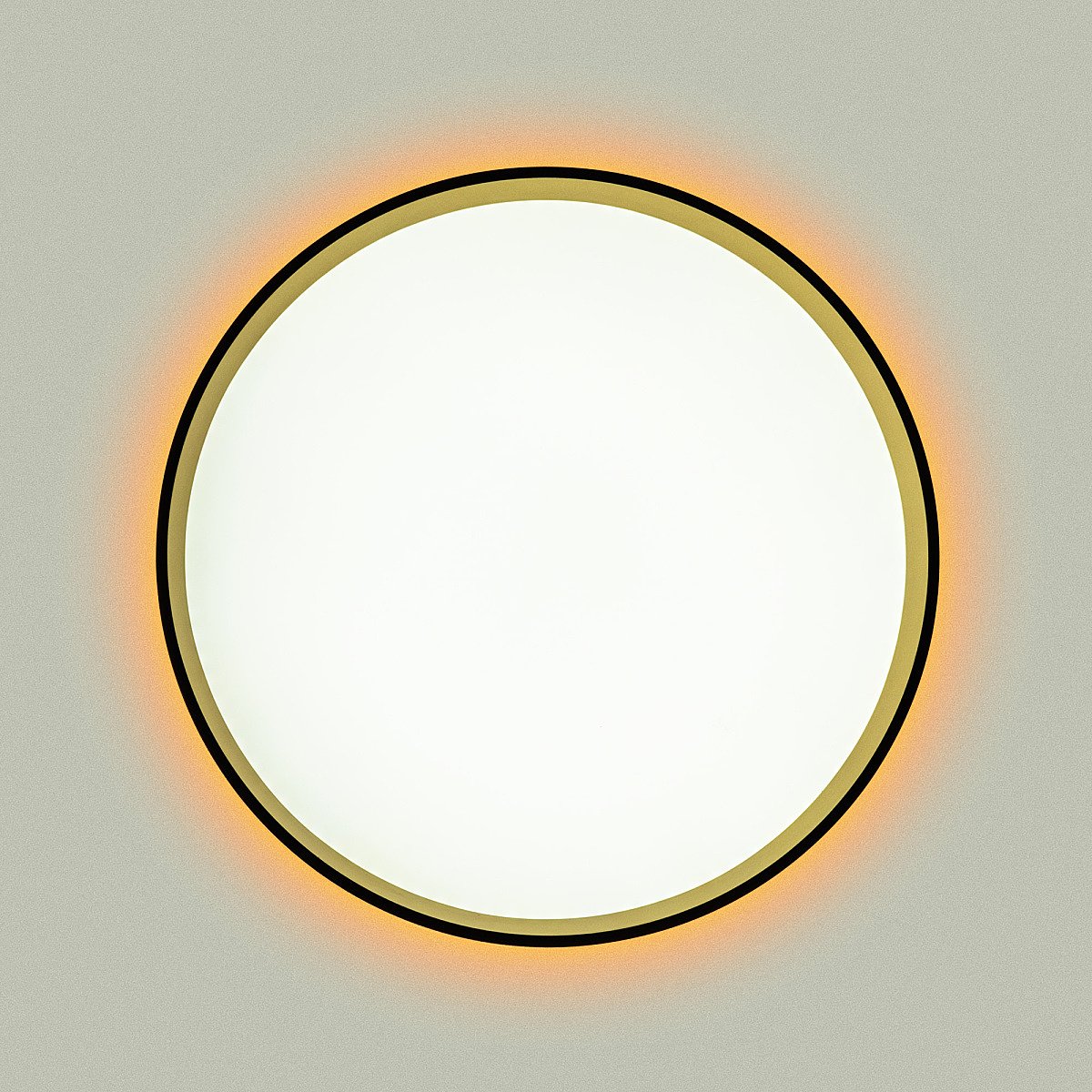 Светильник потолочный Citilux Etalon CL750321R