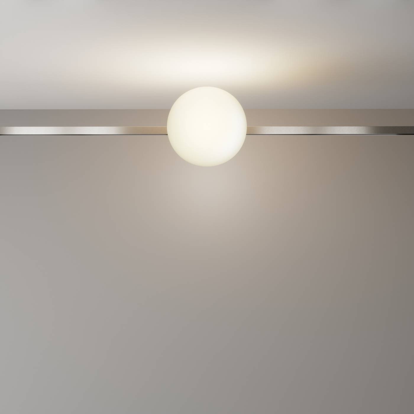 Трековый светильник Luna Maytoni TR229-1-8W3K-PT