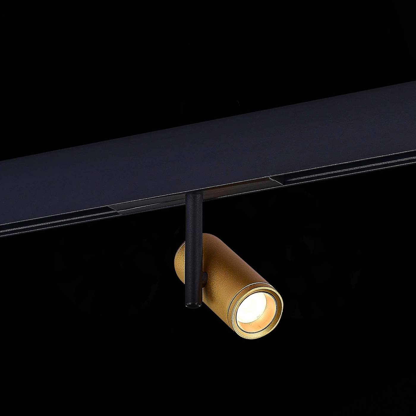 ST808.236.08 Трековый светильник ST Luce Functional ST808.236.08