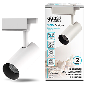 Трековый светильник Gauss Track TR079