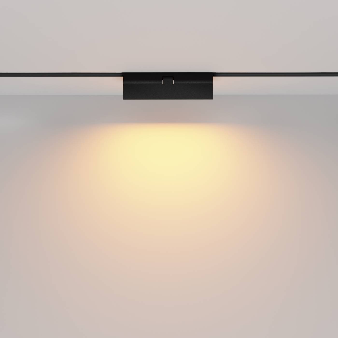 TR036-2-12W2.7K-B Трековый светильник Maytoni Basis Rot TR036-2-12W2.7K-B