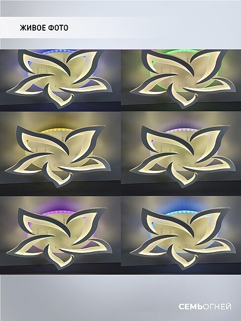 SF5018/6C-WT-RGB Потолочная люстра Seven Fires Lorens SF5018/6C-WT-RGB